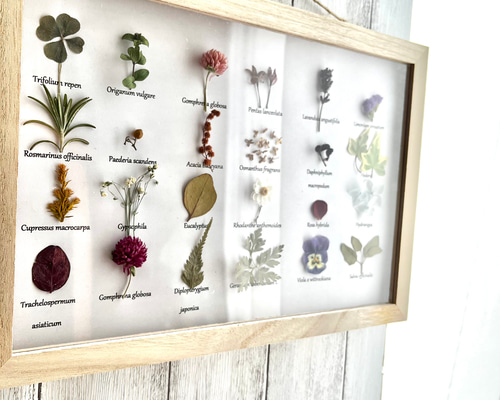 0102199c5ccd5fb9fca60c775c6b09