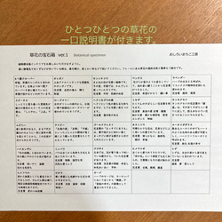  第8張的照片