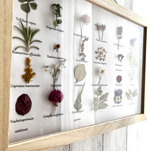 本物の花フレーム入り リーフ インテリア 壁掛け 24K GOLD 壁飾り ゴールド シノワズリ 幅36cm×高さ88cm｜おしゃれな