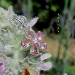 “宝石質” 桜トルマリンペンダント ~22nd Anniversary~【Sv925】 7枚目の画像