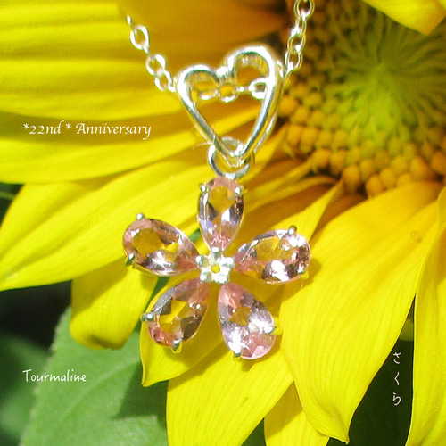 トルマリンページ ブラジル産バイカラートルマリン 1.248ctルース