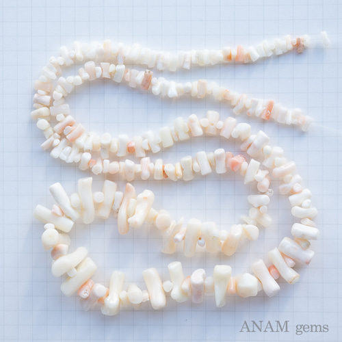 29㎝】【2022年新ロット】シロサンゴ（ホワイトコーラル） さざれ 高