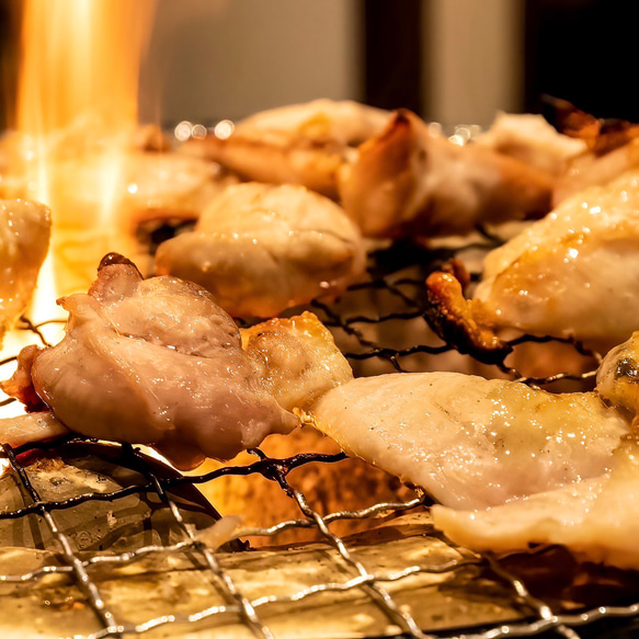 【BBQにも◎】国産手さばき鶏焼肉セット「ファミ盛り」［4〜5人前・1kg以上］ 5枚目の画像