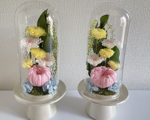 再販【ドーム仏花 新色登場】輪菊の美しいガラスドーム付き