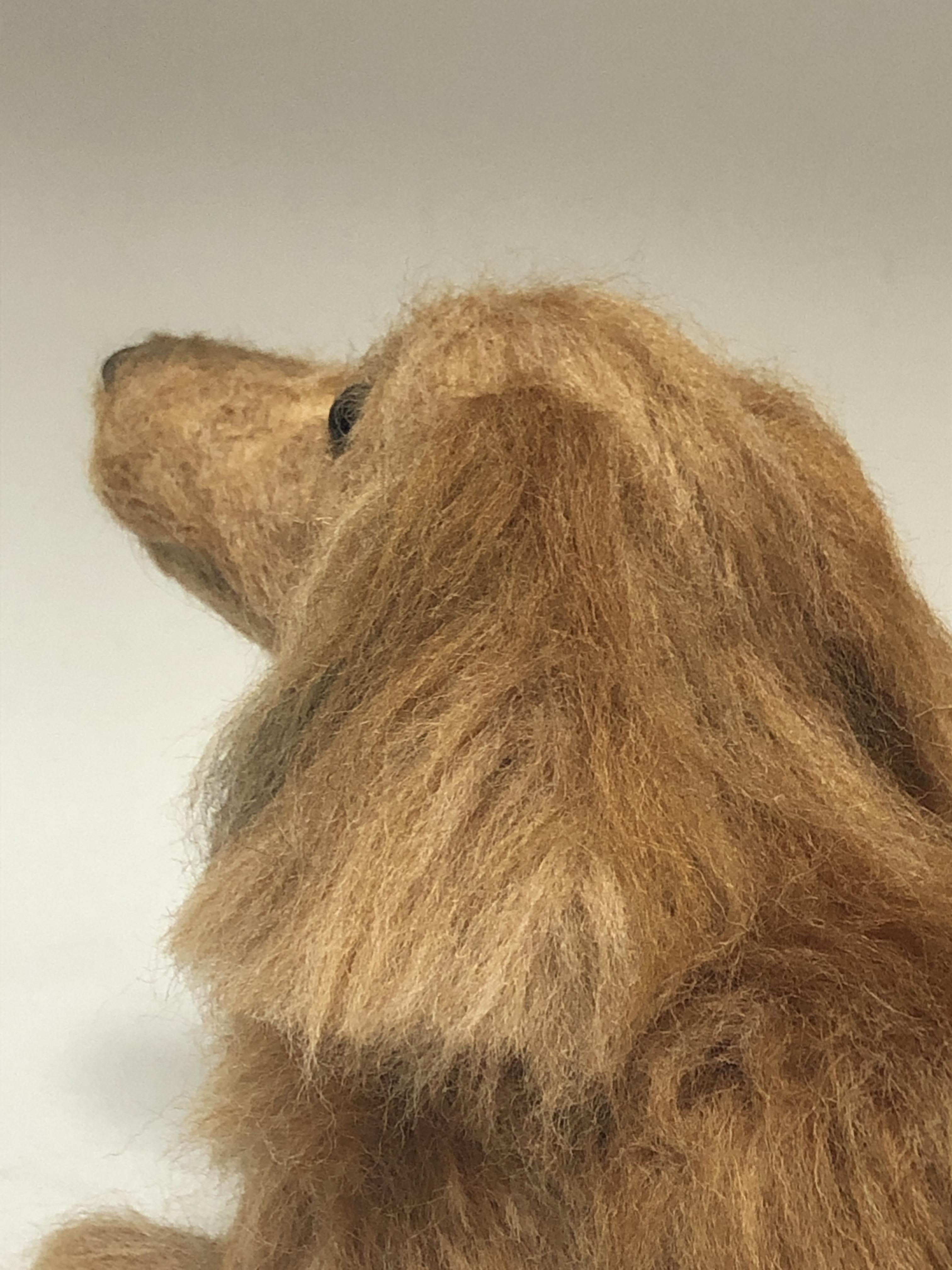 イニシャルオブジェ ✖️羊毛フェルト オーダー制 お品書き一覧 | 東京