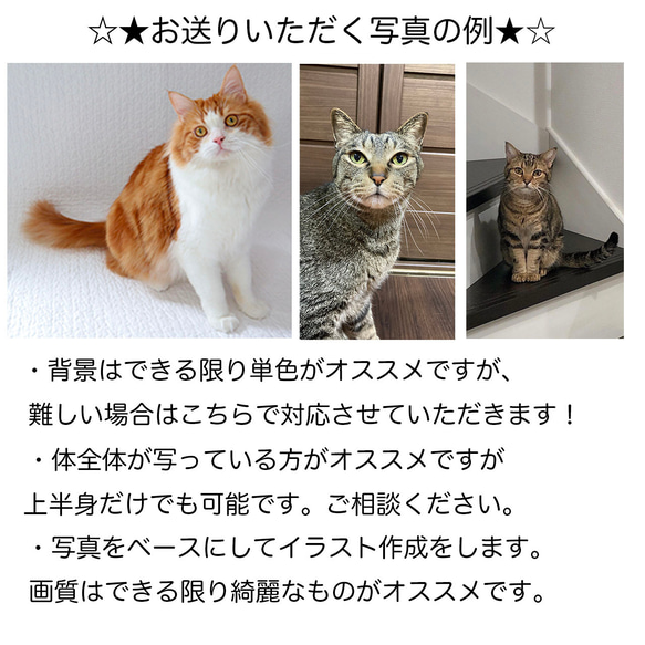 オーダーメイドで作る！愛猫イラストTシャツ / ネコちゃんの写真を送るだけ！簡単！ 9枚目の画像
