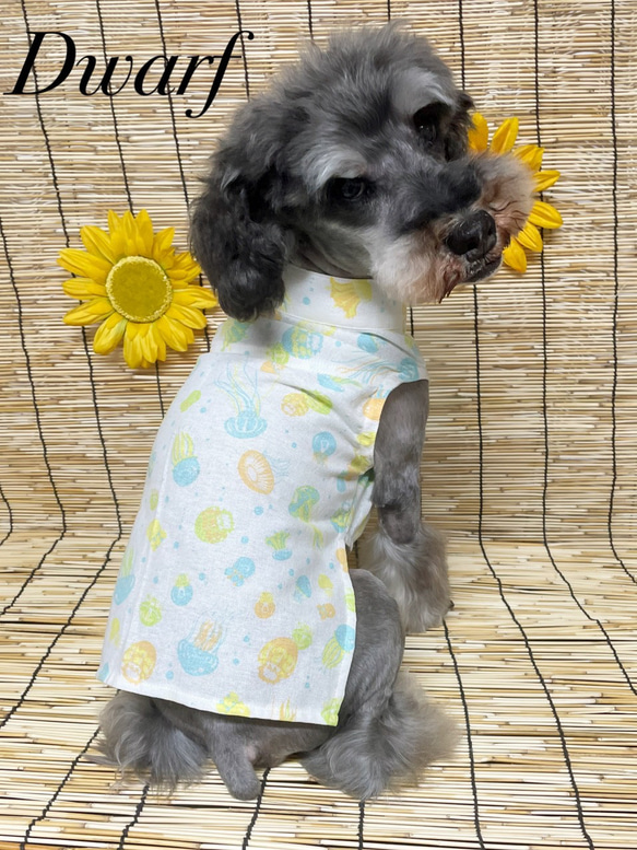 アトリエgg　Lady Silk スタンドカラー犬服 犬服】クラゲ柄スタンドカラーてぬぐいシャツ☆(ホワイトorブルー