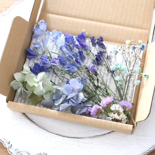 ドライフラワー　ハンドメイド　花材　花材詰め合わせ　紫陽花　マトリカリア　寒色系 ドライフラワー 詰め合わせ 花材セット MIX （デルフィニウム