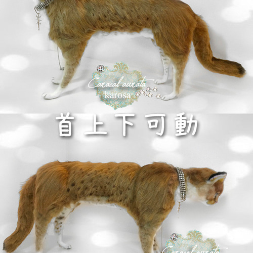 アフリカゴールデンキャット 猫 ネコ 山猫 羊毛フェルト アート アフリカゴールデンキャット 猫 ネコ 山猫 羊毛フェルト アート