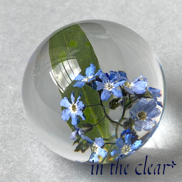 植物標本　わすれな草　青　レジン　4センチ球体 5枚目の画像