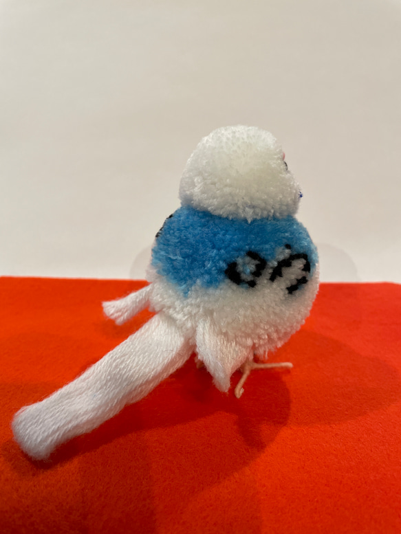 ぽんぽん小鳥　セキセイインコ　パイドブルー 8枚目の画像