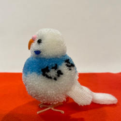 ぽんぽん小鳥　セキセイインコ　パイドブルー 3枚目の画像