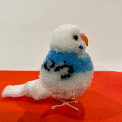 ぽんぽん小鳥　セキセイインコ　パイドブルー 2枚目の画像