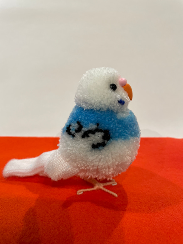 ぽんぽん小鳥　セキセイインコ　パイドブルー 2枚目の画像