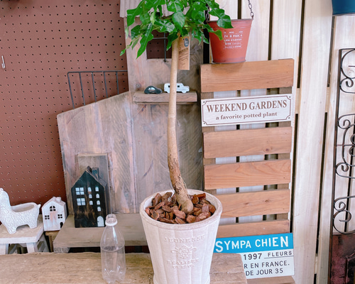 d7c8422ab0e4924191fd35ccd41ab1