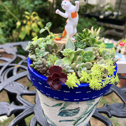 多肉植物』クリスマス（小）素焼き鉢 多肉植物 虎っぺ 通販 14989834