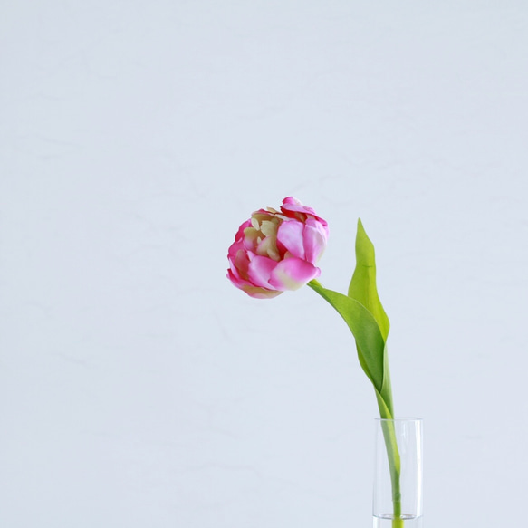 チューリップの花瓶挿し（枯れない・水換え不要）ピンク 2枚目の画像