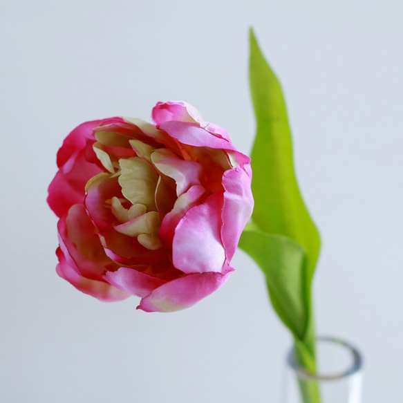 チューリップの花瓶挿し（枯れない・水換え不要）ピンク 3枚目の画像