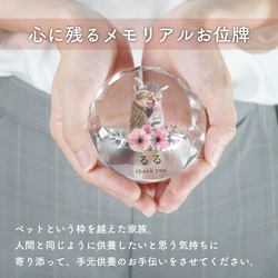 メモリアル ペット位牌 サークル 写真 プリント ペット仏具 カラー 写真入り 名入れ 位牌 仏具 犬 猫 小動物 家族 2枚目の画像