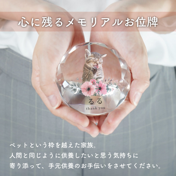 メモリアル ペット位牌 サークル 写真 プリント ペット仏具 カラー 写真入り 名入れ 位牌 仏具 犬 猫 小動物 家族 2枚目の画像