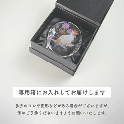 メモリアル ペット位牌 サークル 写真 プリント ペット仏具 カラー 写真入り 名入れ 位牌 仏具 犬 猫 小動物 家族 16枚目の画像