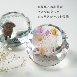 メモリアル ペット位牌 サークル 写真 プリント ペット仏具 カラー 写真入り 名入れ 位牌 仏具 犬 猫 小動物 家族 4枚目の画像