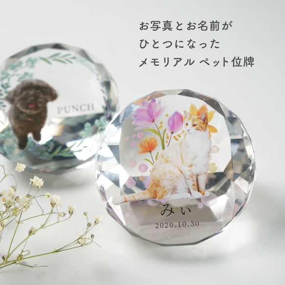 メモリアル ペット位牌 サークル 写真 プリント ペット仏具 カラー 写真入り 名入れ 位牌 仏具 犬 猫 小動物 家族 4枚目の画像