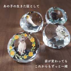 メモリアル ペット位牌 サークル 写真 プリント ペット仏具 カラー 写真入り 名入れ 位牌 仏具 犬 猫 小動物 家族 3枚目の画像