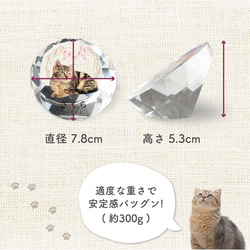 メモリアル ペット位牌 サークル 写真 プリント ペット仏具 カラー 写真入り 名入れ 位牌 仏具 犬 猫 小動物 家族 5枚目の画像