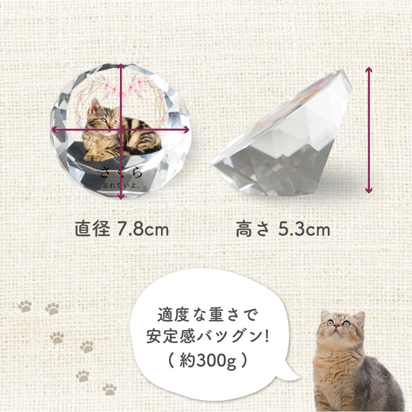 メモリアル ペット位牌 サークル 写真 プリント ペット仏具 カラー 写真入り 名入れ 位牌 仏具 犬 猫 小動物 家族 5枚目の画像