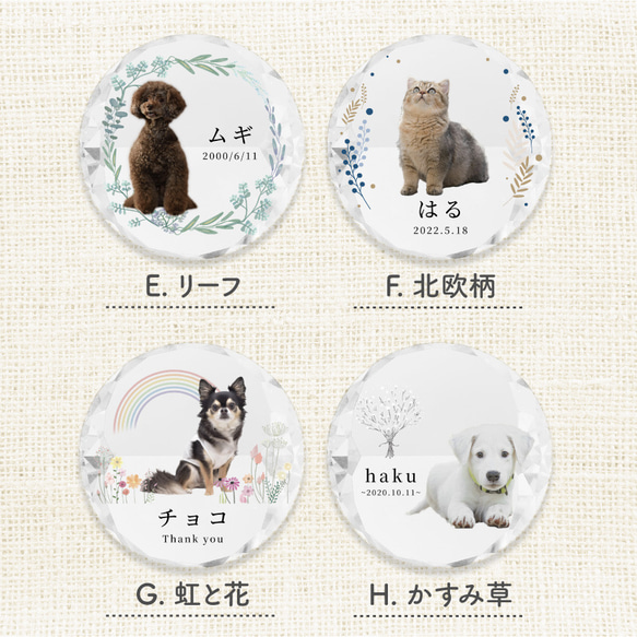 メモリアル ペット位牌 サークル 写真 プリント ペット仏具 カラー 写真入り 名入れ 位牌 仏具 犬 猫 小動物 家族 8枚目の画像