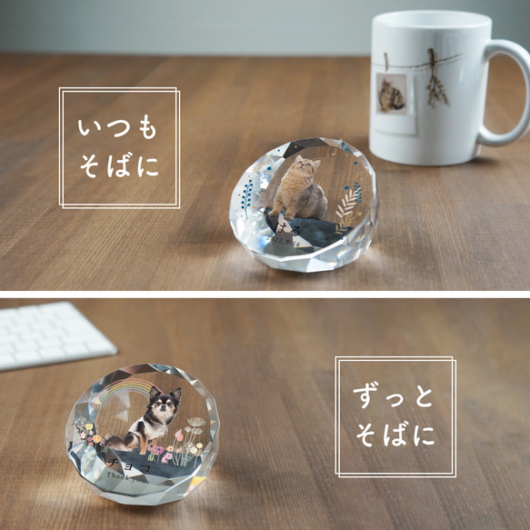 メモリアル ペット位牌 サークル 写真 プリント ペット仏具 カラー 写真入り 名入れ 位牌 仏具 犬 猫 小動物 家族 15枚目の画像