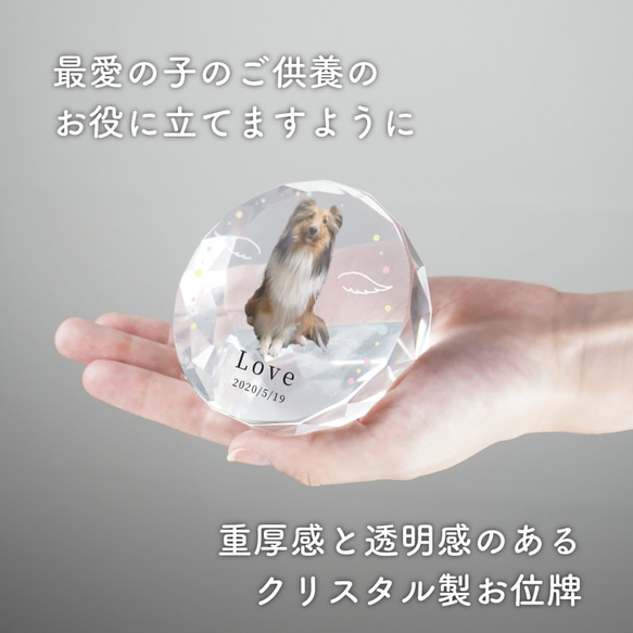 メモリアル ペット位牌 サークル 写真 プリント ペット仏具 カラー 写真入り 名入れ 位牌 仏具 犬 猫 小動物 家族 6枚目の画像