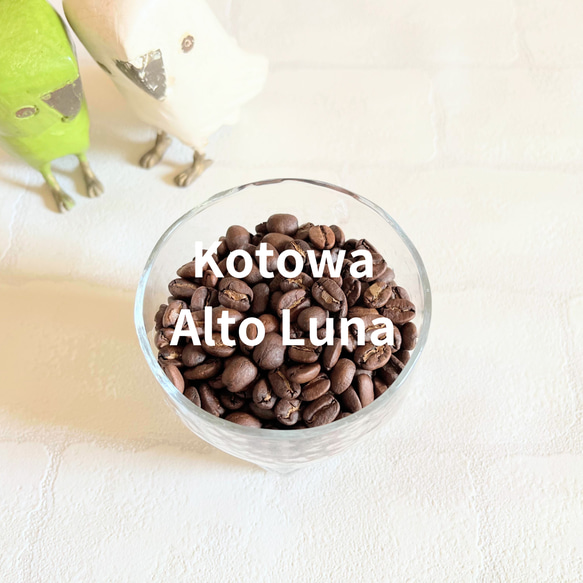 パナマ  コトワ アルトルナ コーヒー豆  200g 1枚目の画像