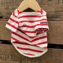 犬服 ボーダーTシャツ ホワイト×レッド ペット服・アクセサリー