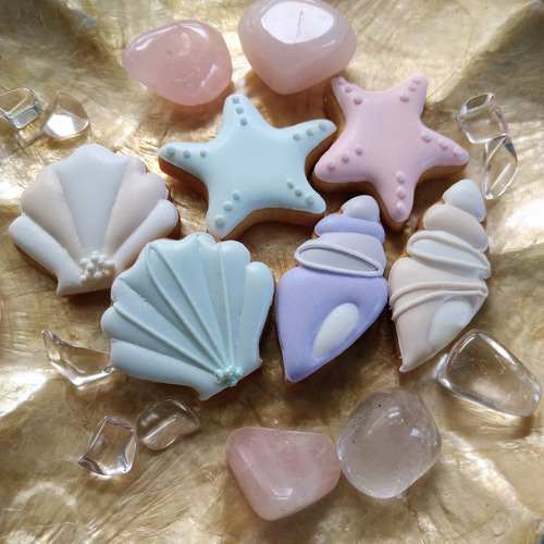 ※購入不可※貝殻 セット 合計8枚 購入不可※貝殻 セット 合計8枚