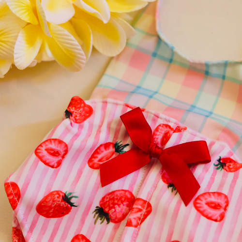 aibo ベビー水着 ：いちごチェック・レッド（aiboちゃん用