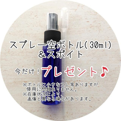 【プレゼント付】薄荷とローズマリーのスプレー　詰替用(リフィル)100ml ひんやり感のスプレーで暑さ対策に 2枚目の画像