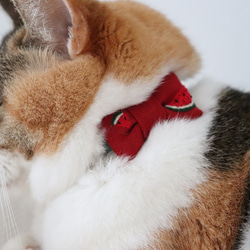 すいか刺繍の夏首輪　猫さん犬さん 6枚目の画像