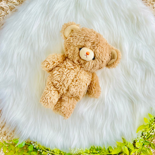 らっこ　モコモコくま　たまごちゃん 78aac2ec6859e919db532a493f6b42