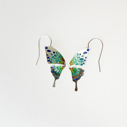【銀七宝】蝶々の羽の耳飾り 2枚目の画像