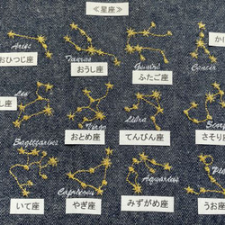  第13張的照片