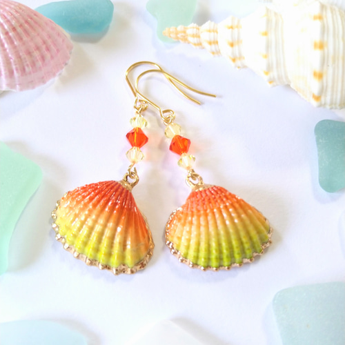 ステンレス 貝殻 シェル スワロフスキー グラデーション ピアス  