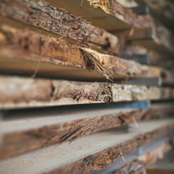 愛媛産の杉・桧を薄く削り，[革]のようになめした 100%植物性のマネークリップ（グレイ）です。 10枚目の画像