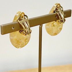 【handmade】dry flower shizuku drop earring（cream-yellow） ゴールド 5枚目の画像