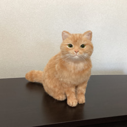 茶トラ♡おねんね猫♡羊毛フエルト 羊毛フェルト ミニねこ 茶トラ 羊毛フェルト haluhalu 通販 14274828