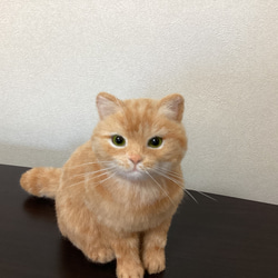 羊毛フェルト　ミニねこ　茶トラ 11枚目の画像