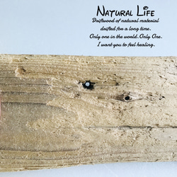 流木のお洒落なハンガーフック⁎✧✧ナチュラル 西海岸インテリア ウォールフック 7枚目の画像