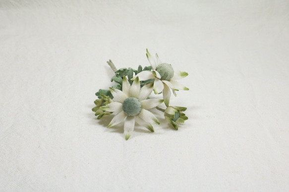フォクシー　ブローチ　近年　お花　葉　リーフ　フラワー　サークル　丸型 フォクシー ブローチ 近年 お花 葉 リーフ フラワー サークル 丸型