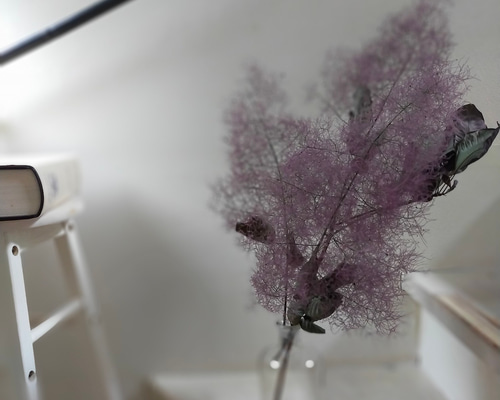 466bf8210e32e63742a0b8deca5f73